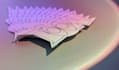create a custom shaped business card to remember