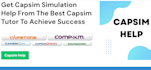 do capsim simulation decisions round by round and provide strategy and report