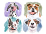 draw pet portrait illustration watercolor style