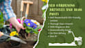 craft SEO friendly gardening and plant care articles and blog posts