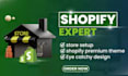 build profitable shopify store, shopify website, shopify store design