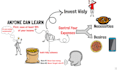 be your elearning finance course creator