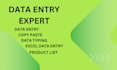 do data entry ,copy paste ,excel data entry ,data entry typing, and web research