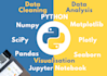 do data cleaning and analysis in python and jupyter notebook