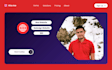 do your wordpress same day design, SEO