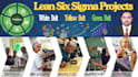 do lean six sigma projects, loss tree analysis, rca and coaching