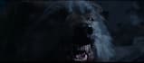 3d animal animation, cgi animal animation,3d animal model,vfx animal compositing