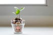 help you make smart financial decisions to overcome crisis