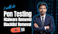 pen testing and malware removal