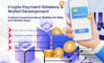 integrate crypto payment gateways or build custom cryptocurrency wallets app