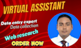be data entry, data collection, copy paste and word press