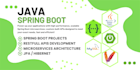 fix bugs or errors in your spring boot project