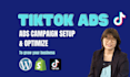 setup and optimize tiktok ads to grow your business, sales