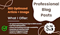 write articles and blogs posts