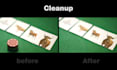 professionally remove unwanted objects