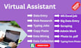 be your virtual assistant for data entry and admin work
