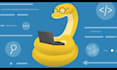 develop python projects and python web application
