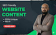do your website copywriting and write website content