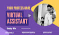 be your professional virtual assistant admin customer care