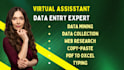 be your virtual assistant for data entry, data collection, and website scraping