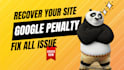 do seo audit for google penalties and fix them