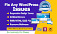fix wordpress errors, bugs, responsive issues, malware, CSS