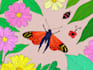 create insects, animals and botanical illustrations