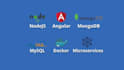 be backend node js react angular full stack application developer