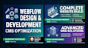 expert webflow developer for custom websites