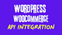 integrate any api in wordpress woocommerce