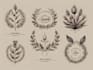 create hand drawn botanical boho logo designs
