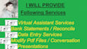 provide VA and data entry services
