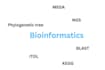 assist you in bioinformatics analysis