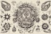 create old school or traditional tattoo design