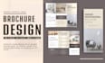 design a  professional bifold or trifold brochure for your business