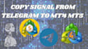 code trade copier telegram  signal for  mt4 mt5 and vice versa