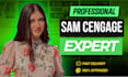 do sam cengage, capstone, simnet projects in ms access, word, ppt