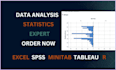 do spss data analysis, minitab, excel and econometrics