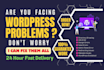 fix any wordpress issue quickly and professionally
