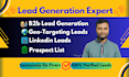 provide targeted b2b lead generation and email leads
