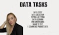 do data entry and excel spreadsheets accurately