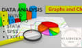 do data analysis in excel, nvivo, r studio, stata, spss