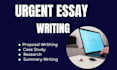 do essay writing as an essay writing expert
