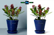 do amazon product photography editing