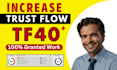boost website majestic trust flow tf 40 plus
