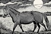 engraving linocut style digital drawing art
