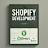do shopify website development and customization