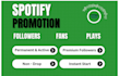do your spotify song premium campaign