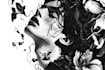 draw black and white illustration