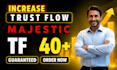 increase your website trust flow tf 40 plus